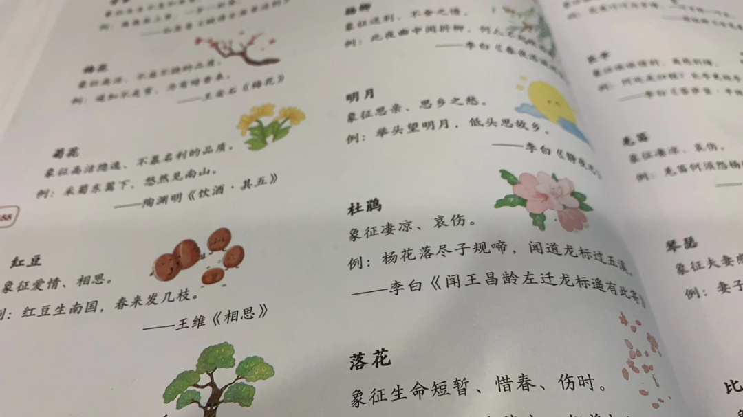 《奇妙大語文》帶孩子從拼音,筆畫,查字典學起,同步點