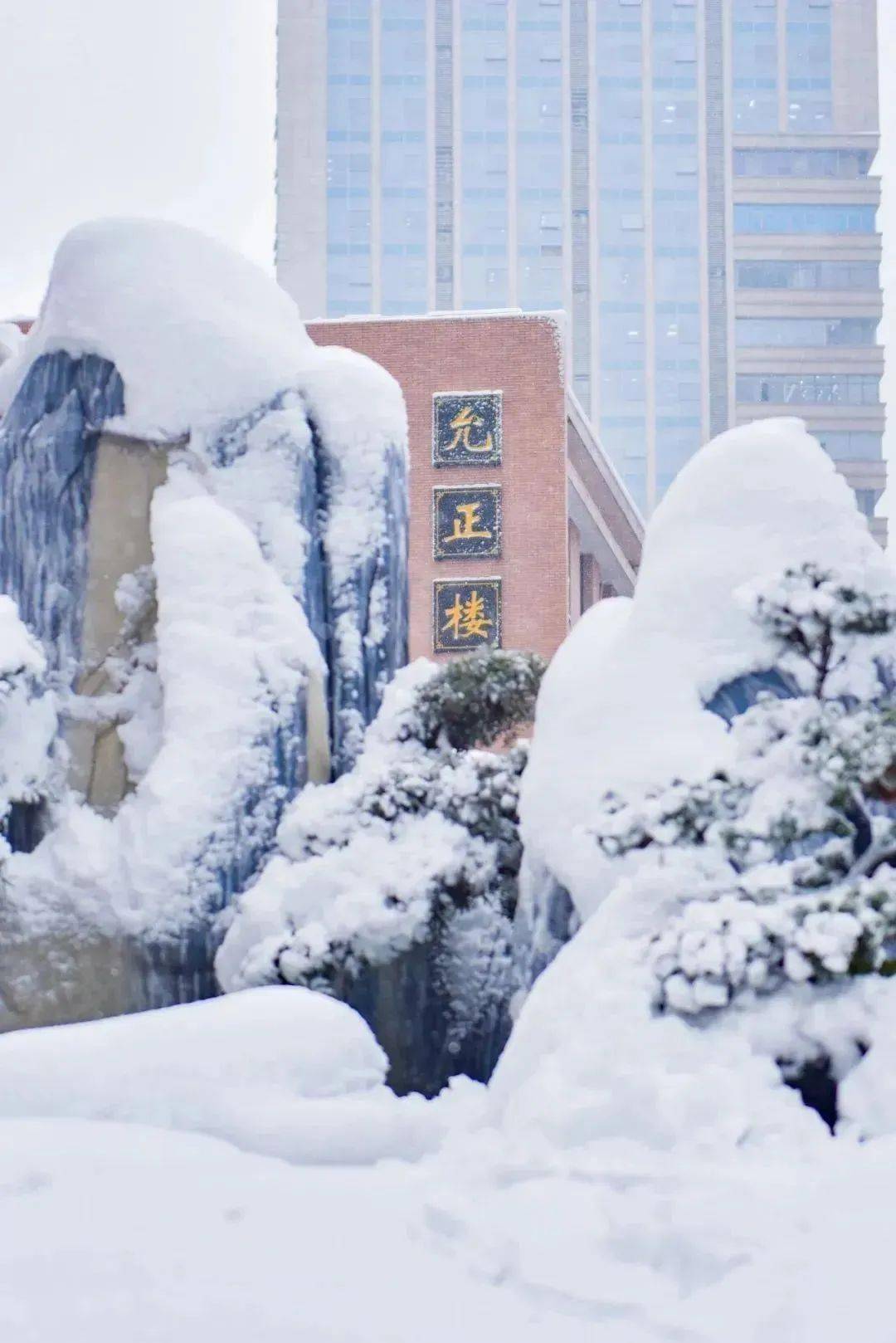 古铜色的校徽勾勒落满雪花的枝杈周南梅溪湖中学雪花洁白无瑕梅花烁烁
