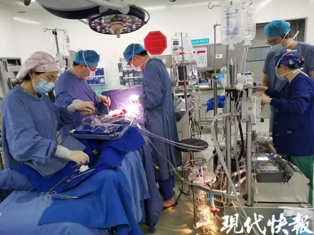 一女子被气到“心裂”...... 网友:感同身受_小赵_作业_辅导