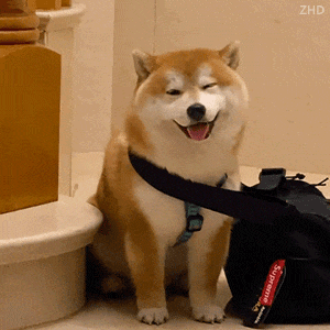 抚宁人,你的工资不能低于这个数……_河北省_标准_地区