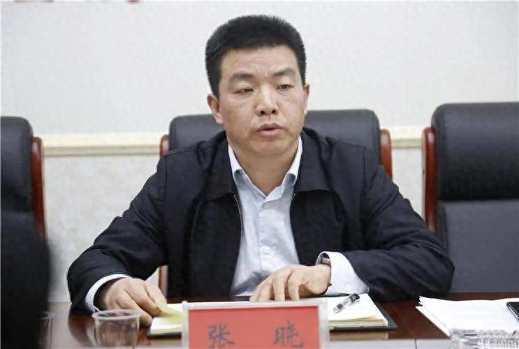 成为市委委员不到一个月,张晓被查!_益阳市_资阳_湖南省