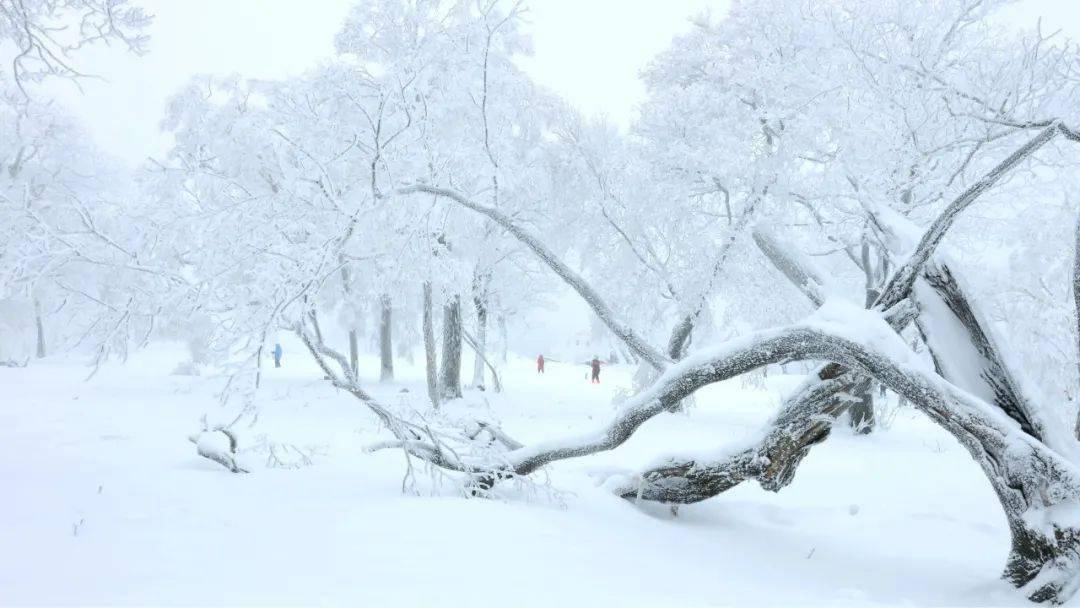 長白_長春_冰雪