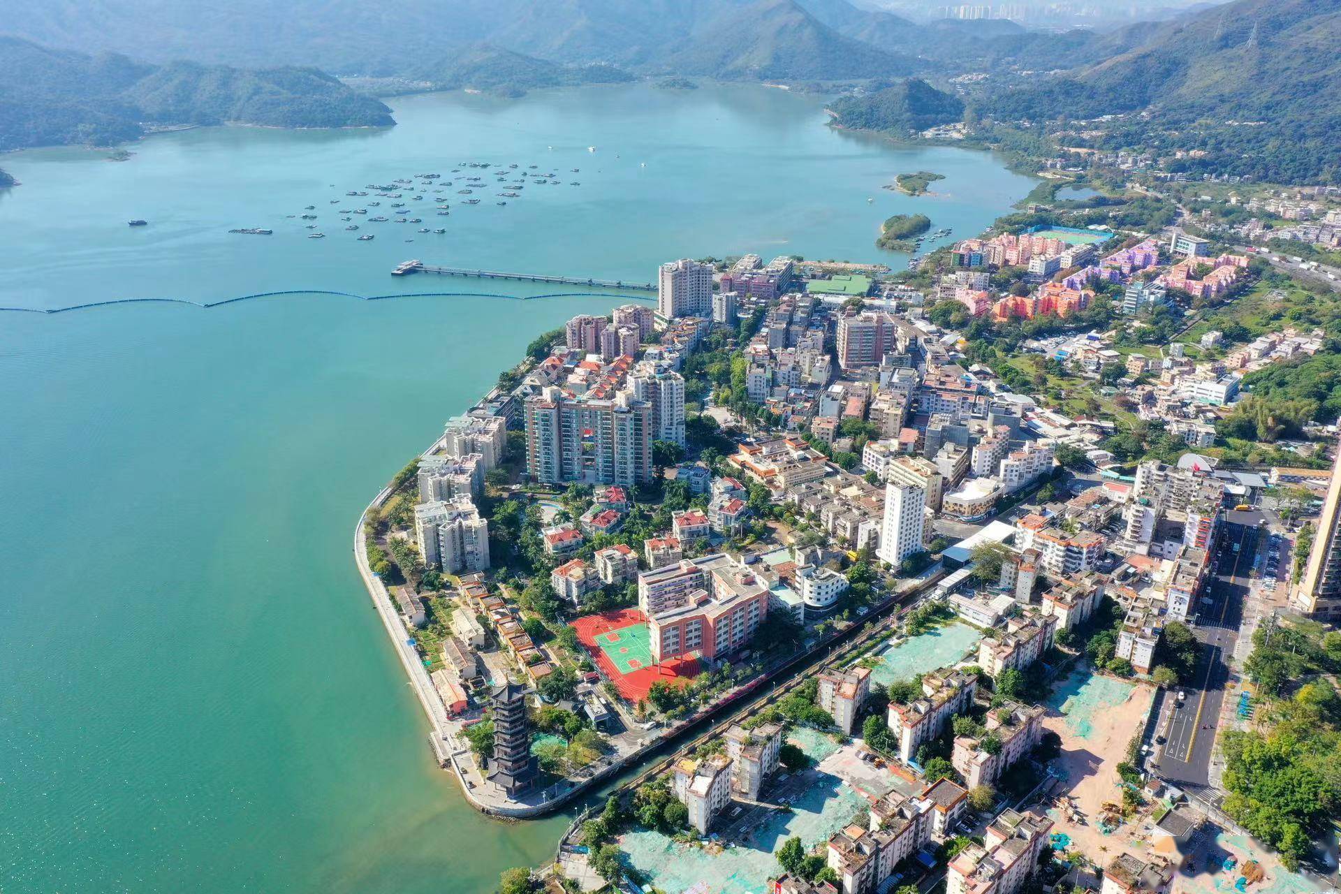 南方观察|岭南春早,盐田"开跑"_发展_产业_经济