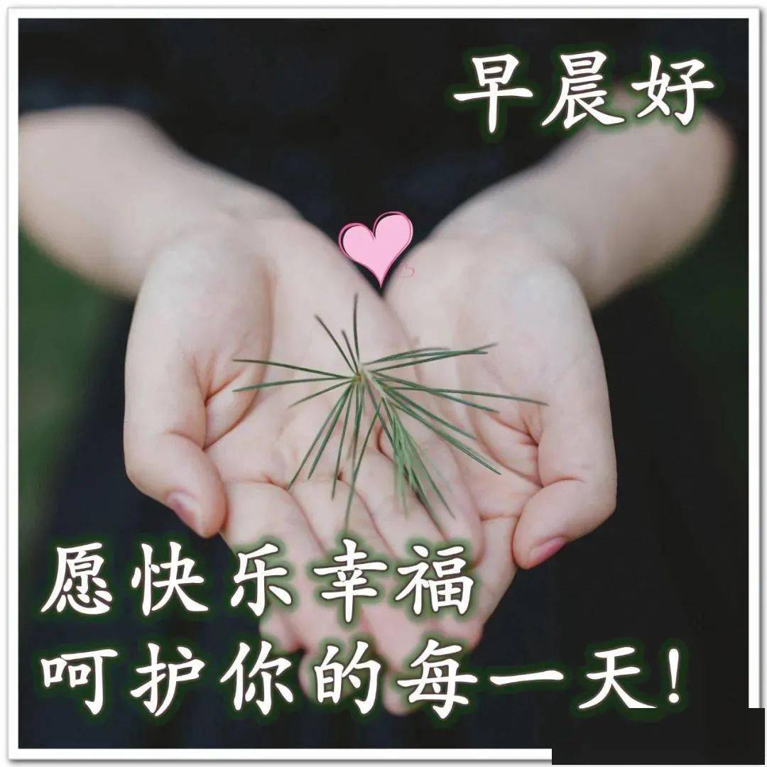 微信漂亮早安祝福问候语大全,微笑在身边,快乐每一天!
