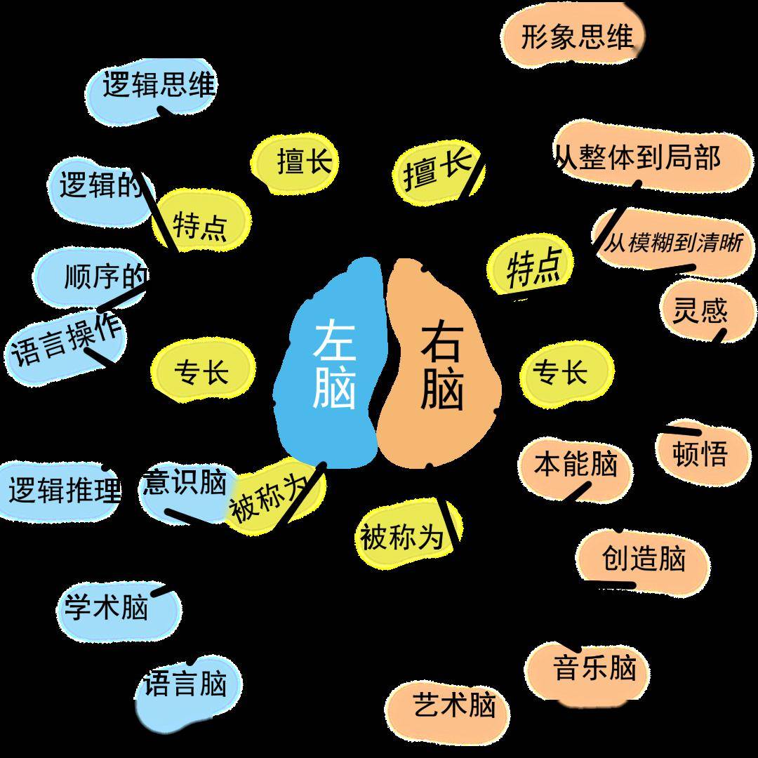 长篇英语课文怎么背?思维导图法步骤详解,从此背诵超简单!