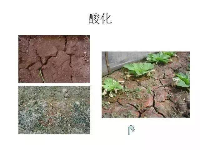 中央緊急發佈: