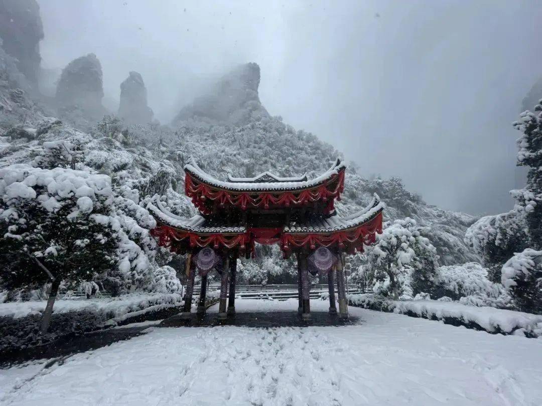 100张苗乡绝美雪景大片来袭,每一张都想收藏!_雪天_南方_雪花