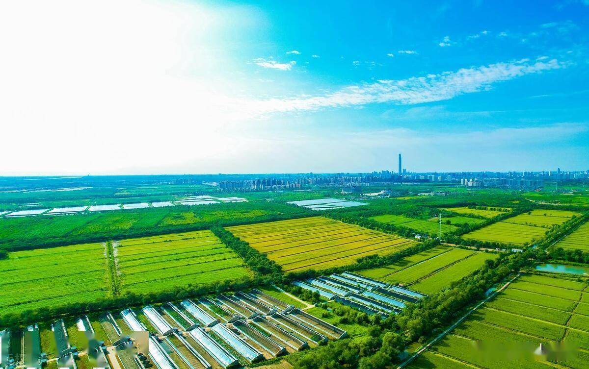 什么是高标准农田_建设_生产_生态