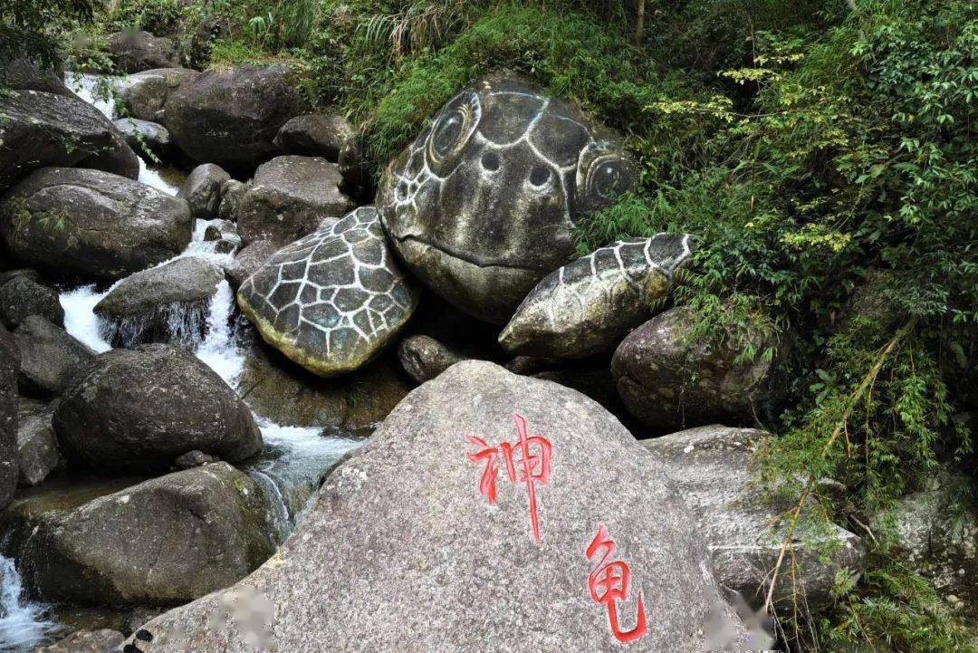 高州仙人洞仙溪负离子氧吧 瀑布群仙境寻仙踪 双早 观光票 2人信宜