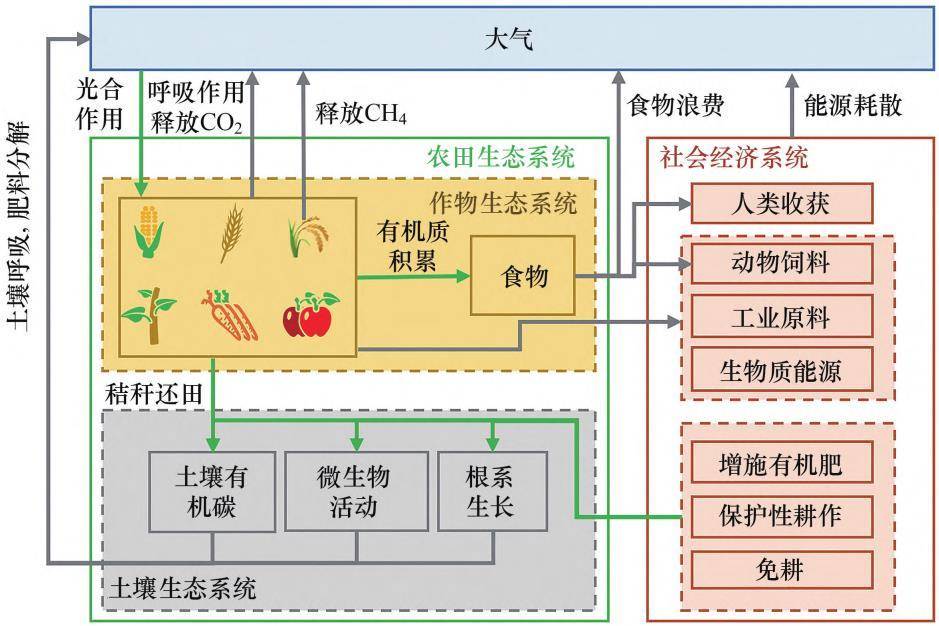 科普| 农田生态系统碳源和碳汇之间"碳"动力_作物_土壤_大气