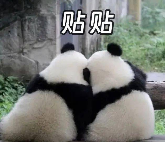 真的很讨厌这种没有边界感的行为!"_对方_好朋友_双方