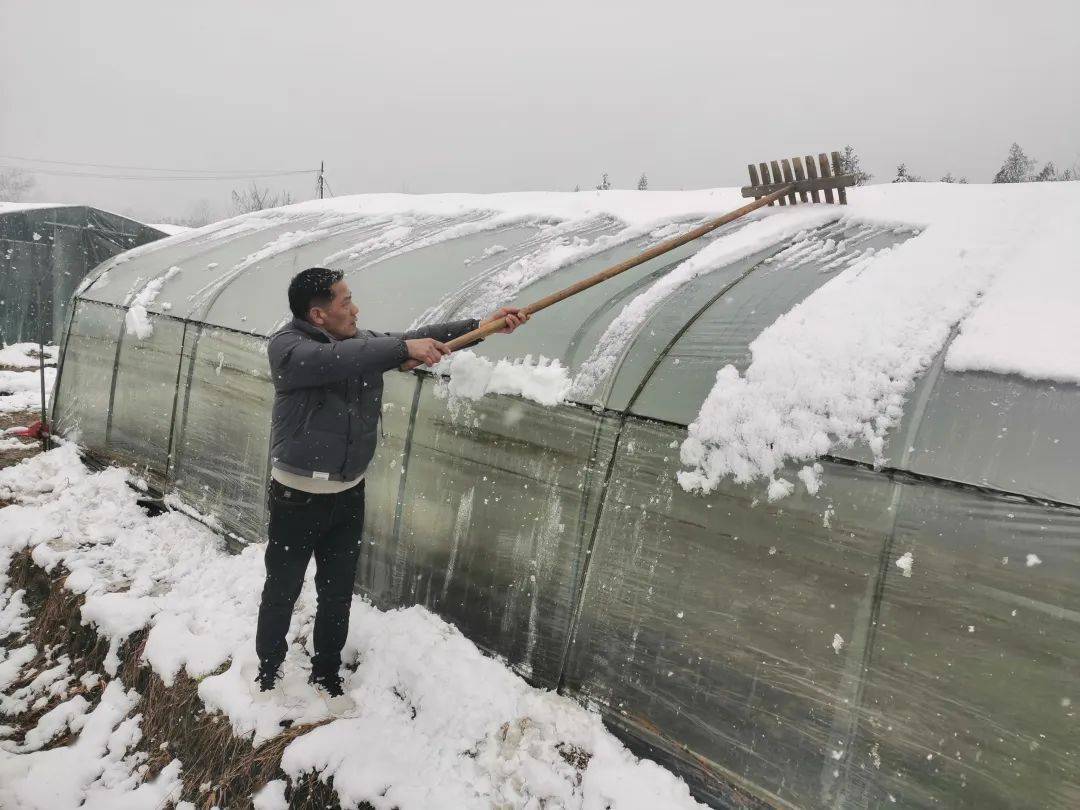 德興市各級人大代表在行動_積雪_天氣