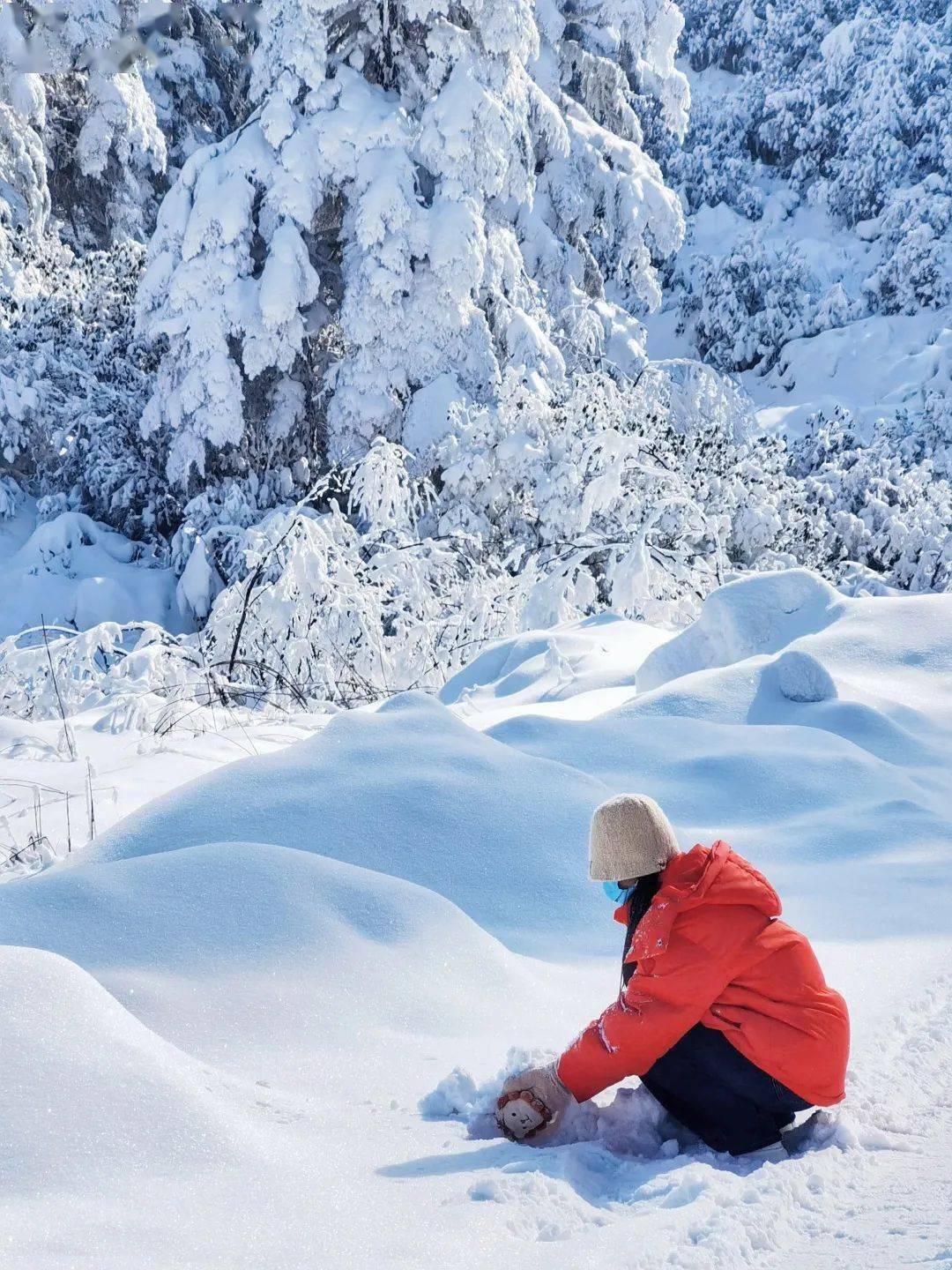 玩雪的照片真实图片