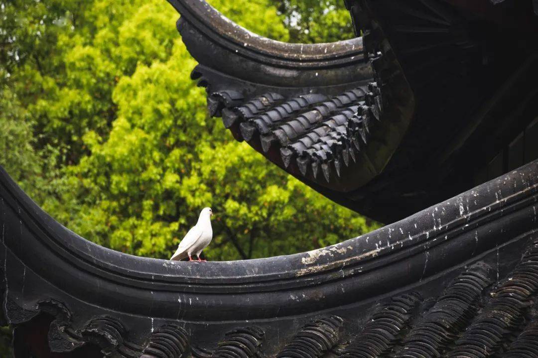 中國最良心的景區,主動退出4a景區,門票5元,10元管飽