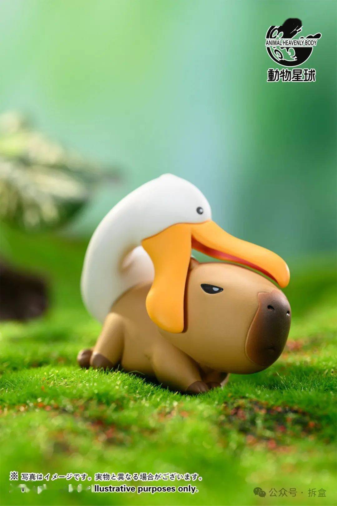 动物星球水豚盲盒,卡皮巴拉和他的朋友们~_toys_玩具_斯巴达克