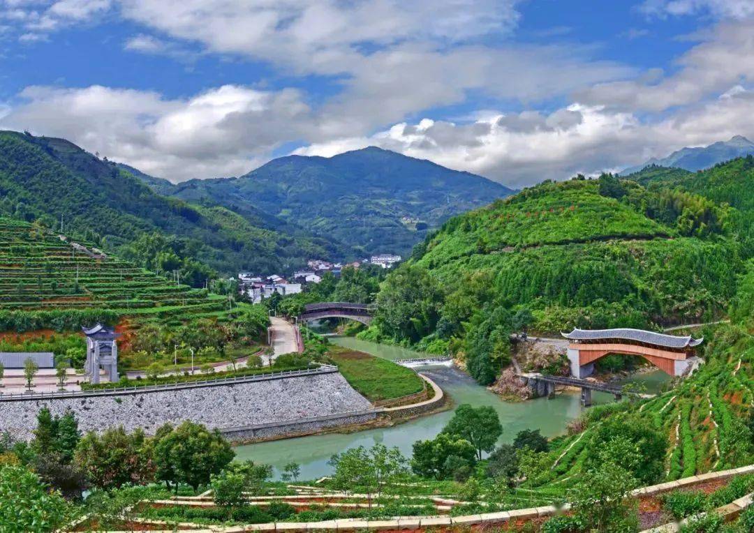 壁紙 成片種植 風景 植物 種植基地 桌面 1080_764