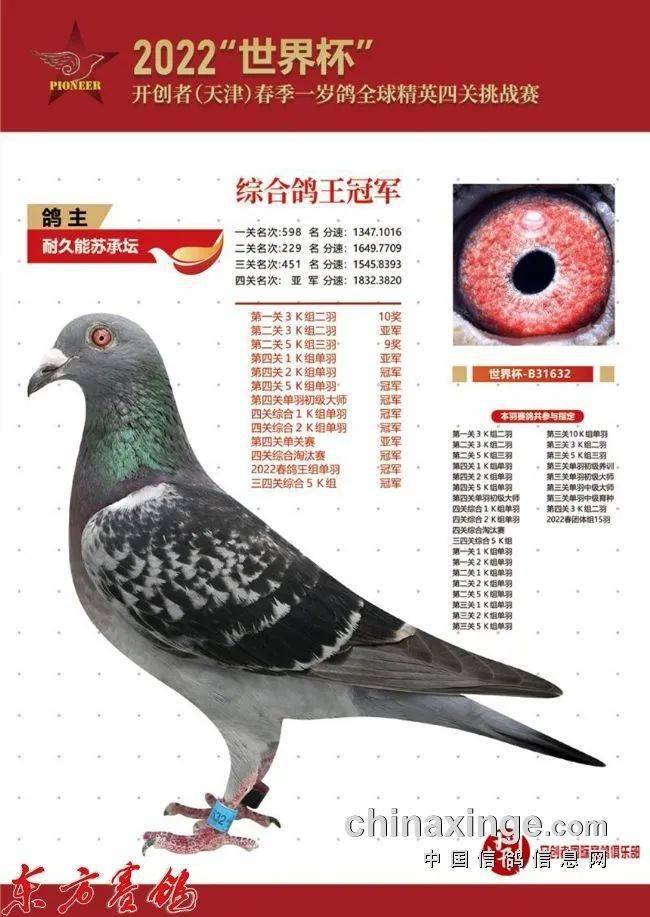 开创者国际赛鸽俱乐部成立于2008年,15年匠心为鸽友,早期在北京丰台区