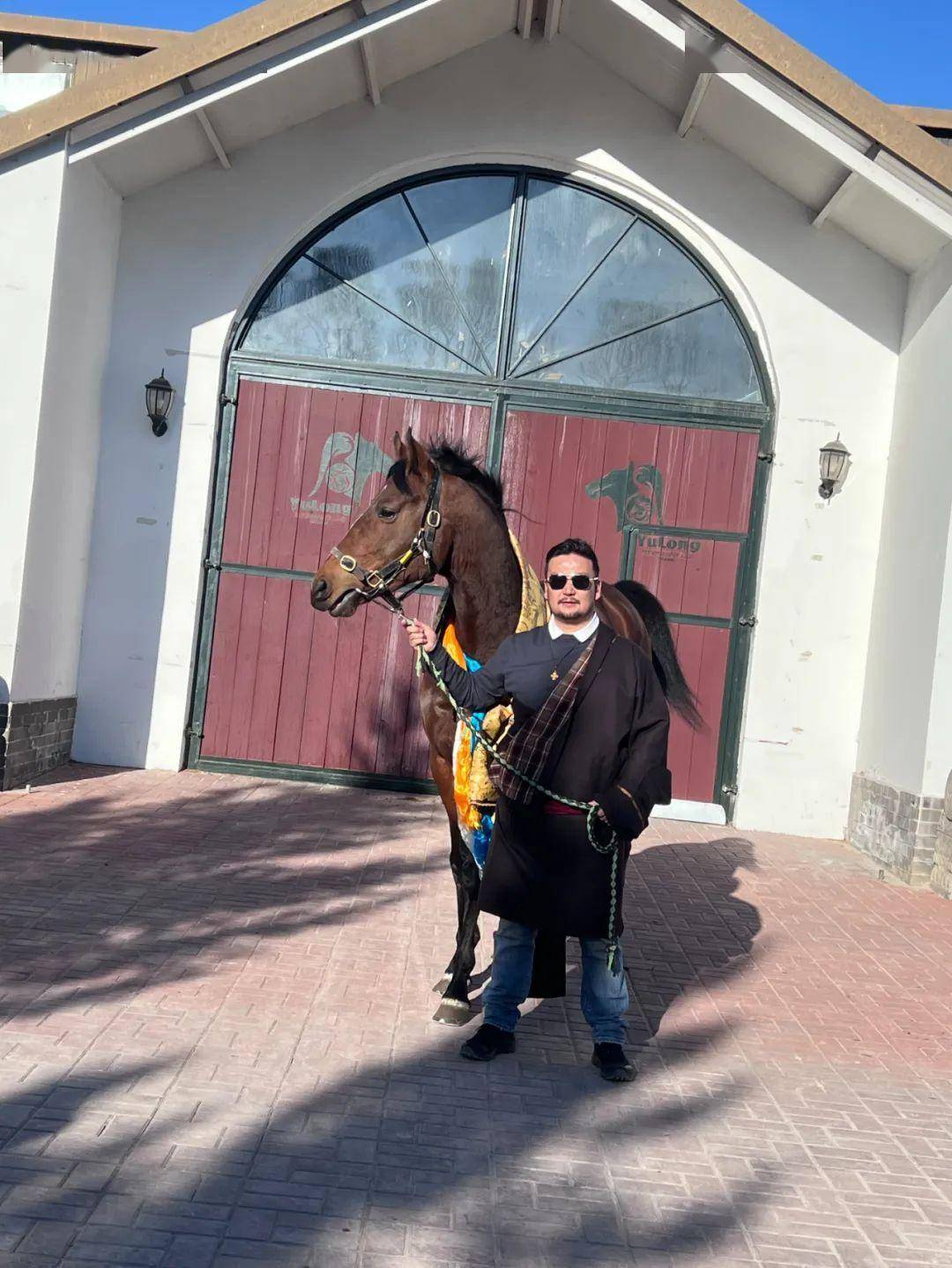 张月胜的一个电话,助力"伽利略"子嗣到甘,青,川牧区配种_玉龙_先生_马