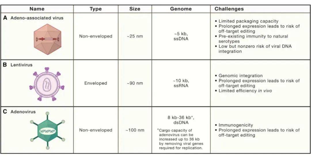基因編輯療法的體內(nèi)遞送技術(shù)總結(jié)