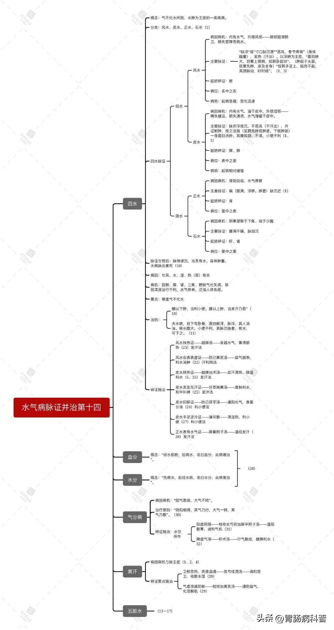 金匮要略总结思维导图图片