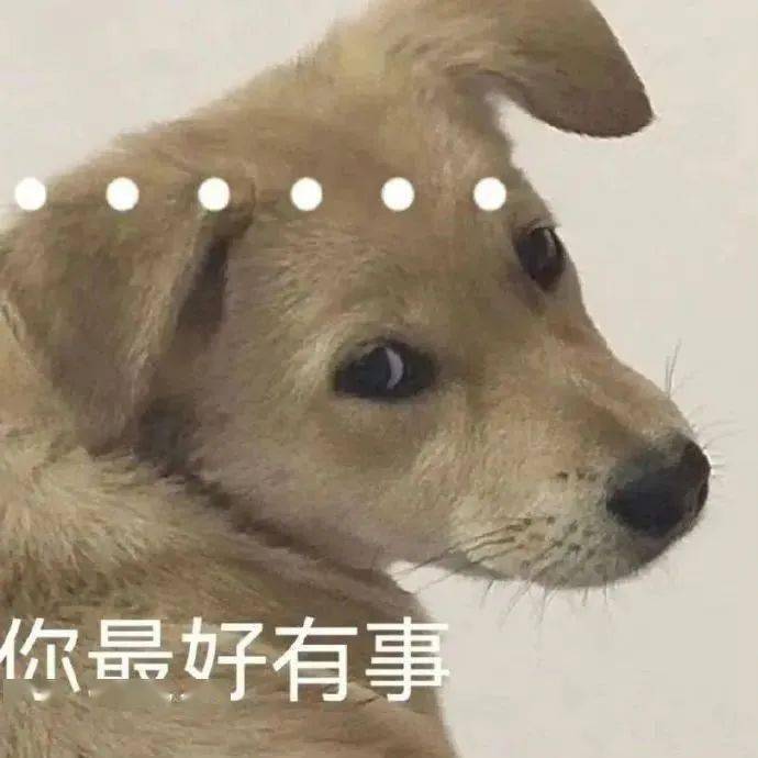 沙雕表情包壁纸熊猫图片