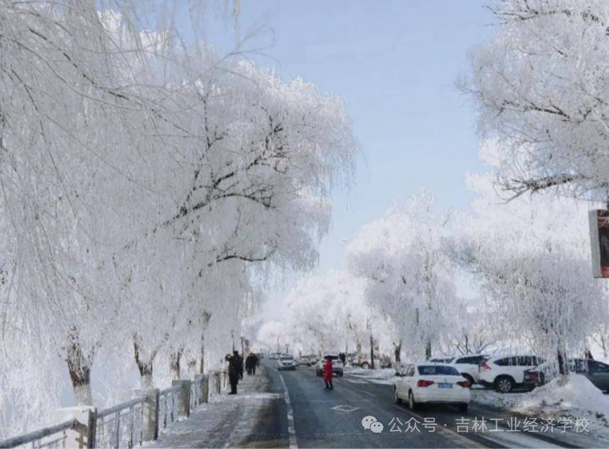 【小手拉大手 快樂家鄉遊】工業經濟學校帶您感受冰雪