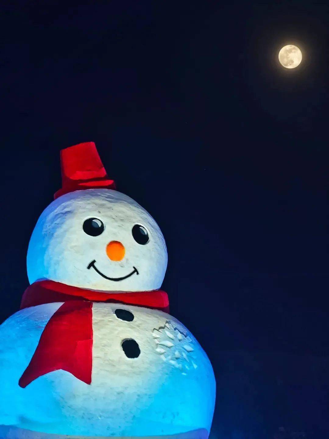 在此仿佛置身于一个梦幻般的冰雪王国,五彩斑斓的冰灯闪亮,造型各异的