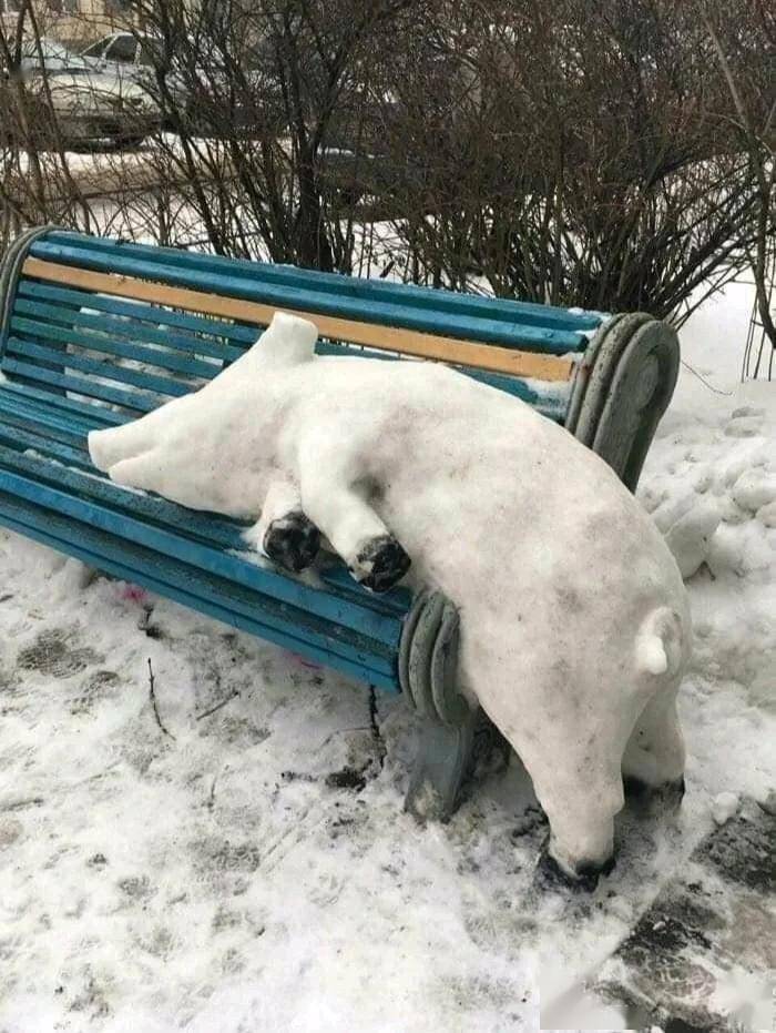 动物堆雪人的图片大全图片