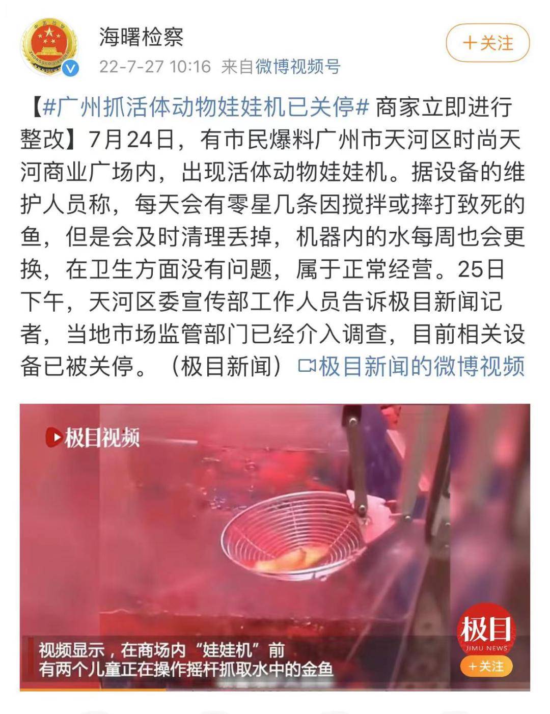 活体娃娃事件图片