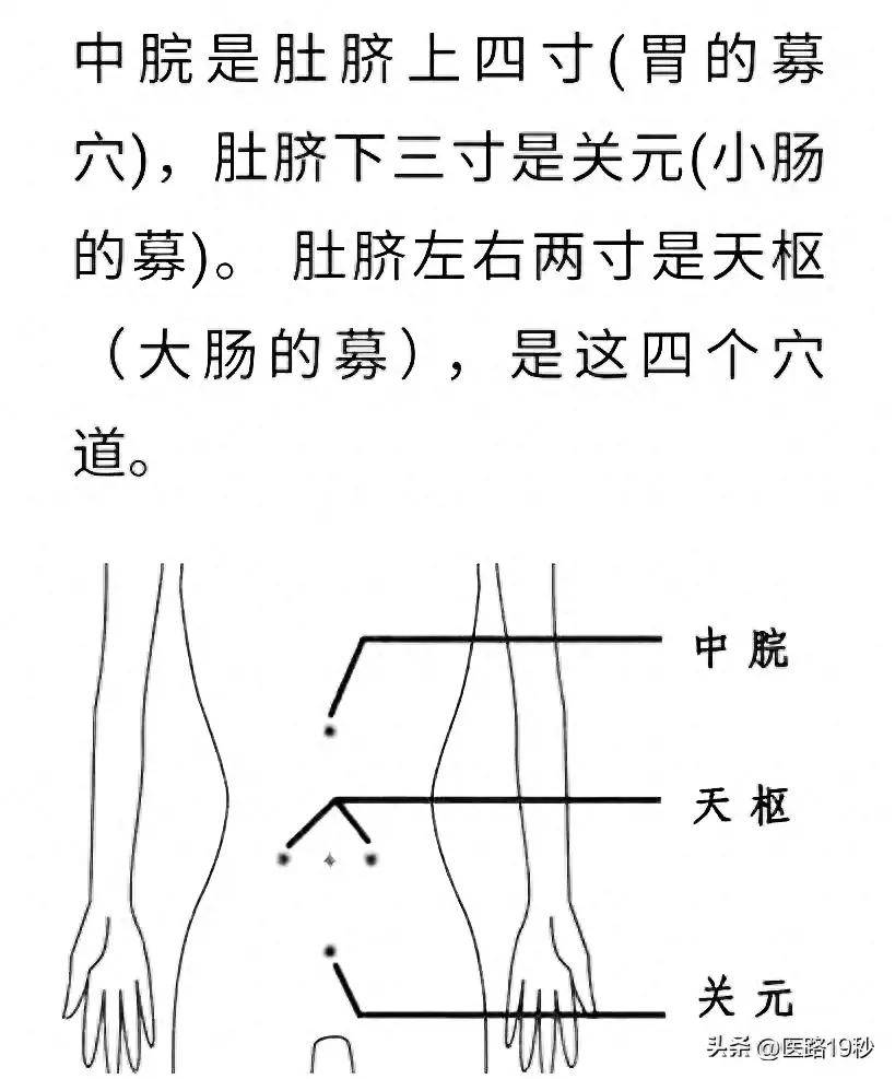 阳陵泉与足三里的距离图片