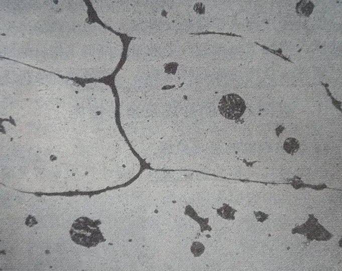 图1 w18cr4v过烧组织 400x图1所示为w18cr4v钢的淬火过烧组织,由灰白