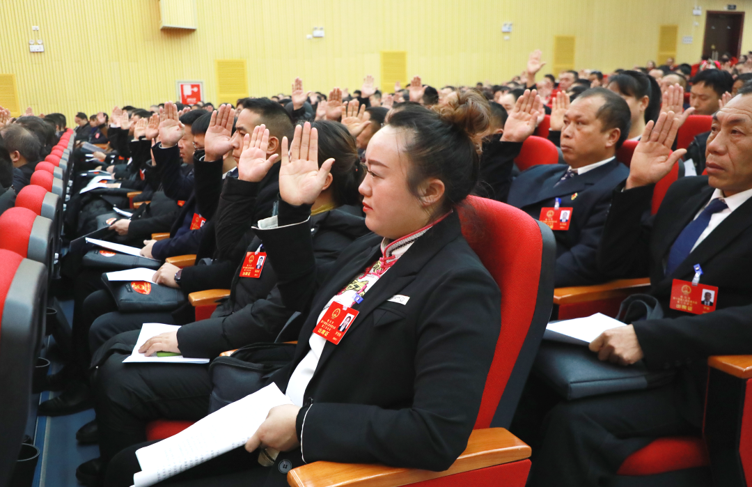 【桥城都匀征程新】都匀市十四届人大三次会议胜利闭幕_工作_张丽芳