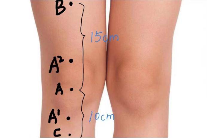 膝围怎么量图解图片