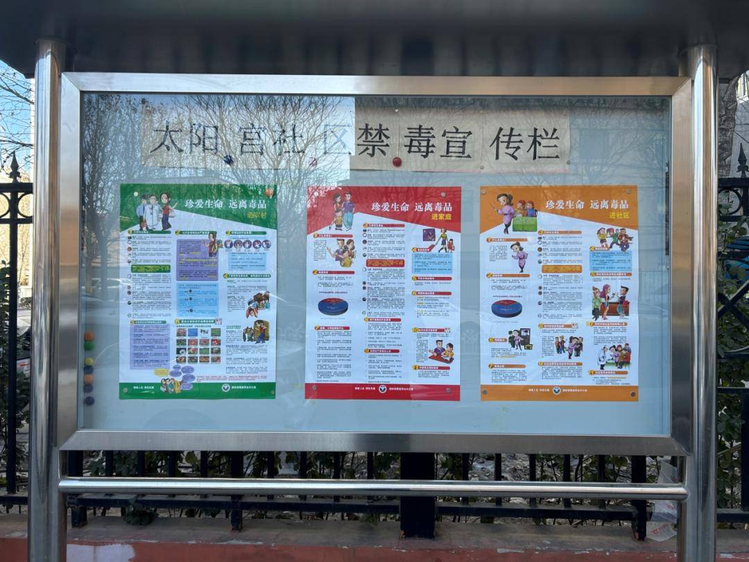 新闻| 朝阳区:平安喜乐迎新春,健康无毒永相伴_禁毒_宣传_活动