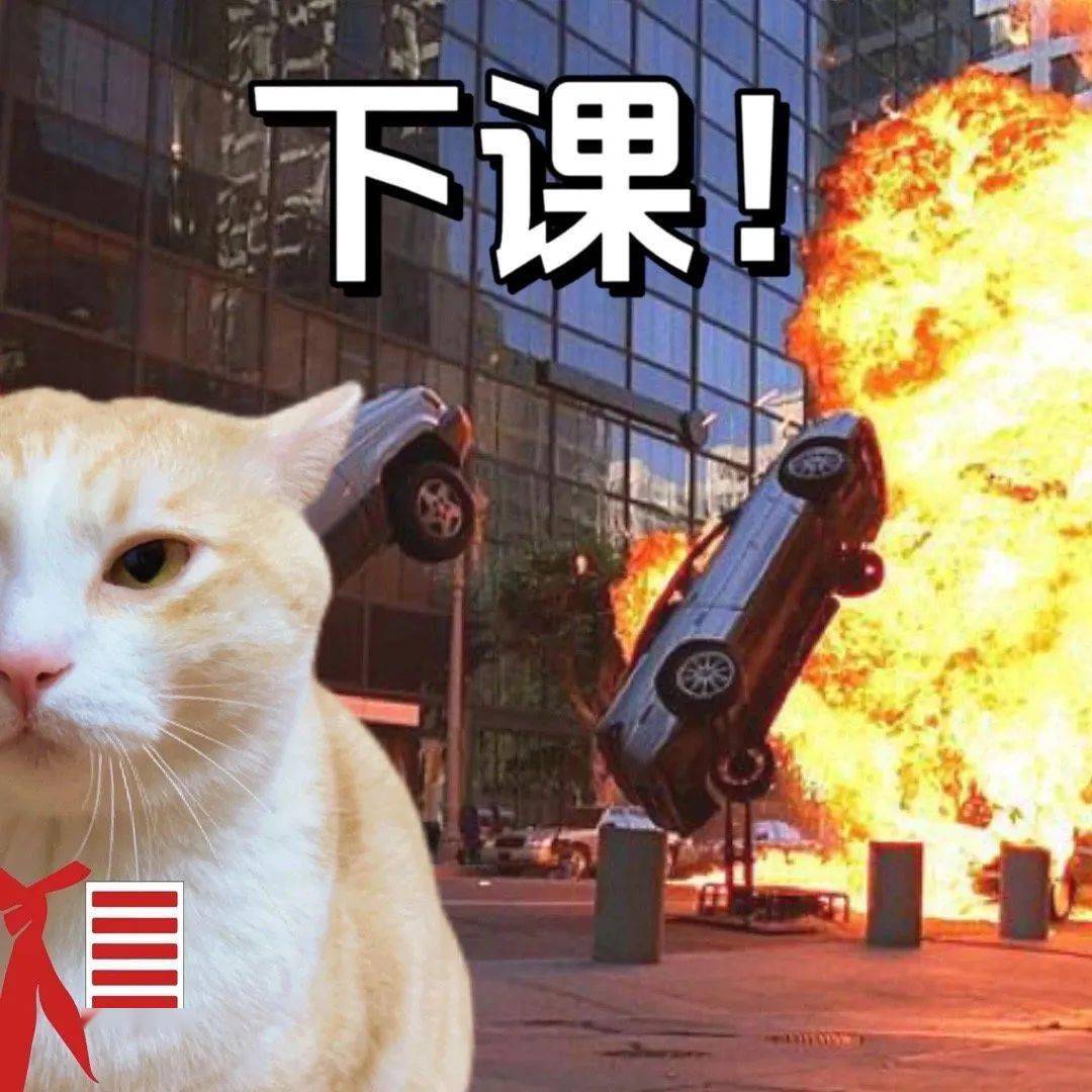 搞笑表情包:我亲爱的运动搭子_公众_il_熊猫头