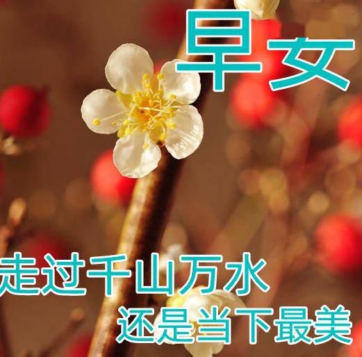 2月1日最美冬日风景早安你好图片及问候朋友早上安康暖心句子大全