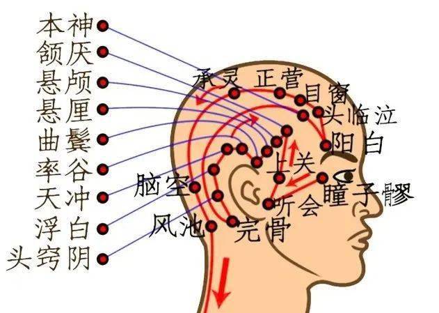 需要注意的是,刮痧的時候不要強求出痧,只要刮到毛孔開洩,局部發熱就