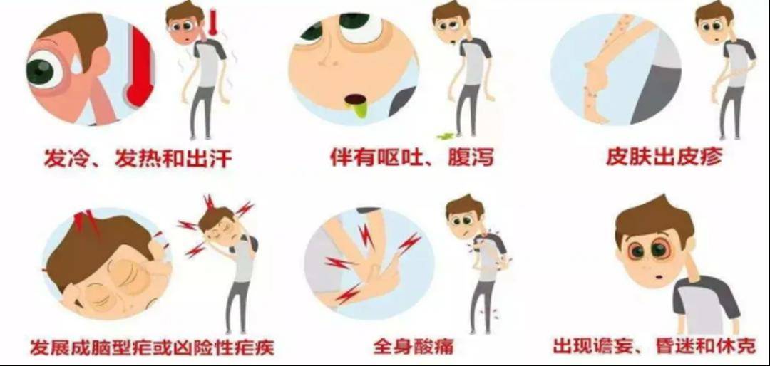 警惕输入疟疾,健康出门旅行_疟原虫_进行_病例