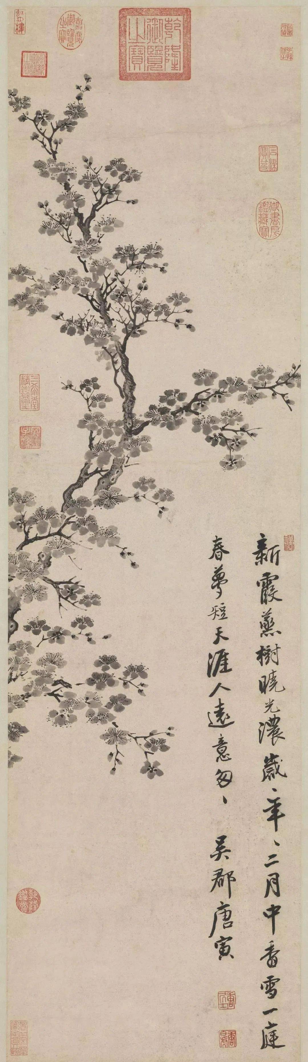 唐伯虎画花鸟,太罕见!_唐寅_书法_绘画