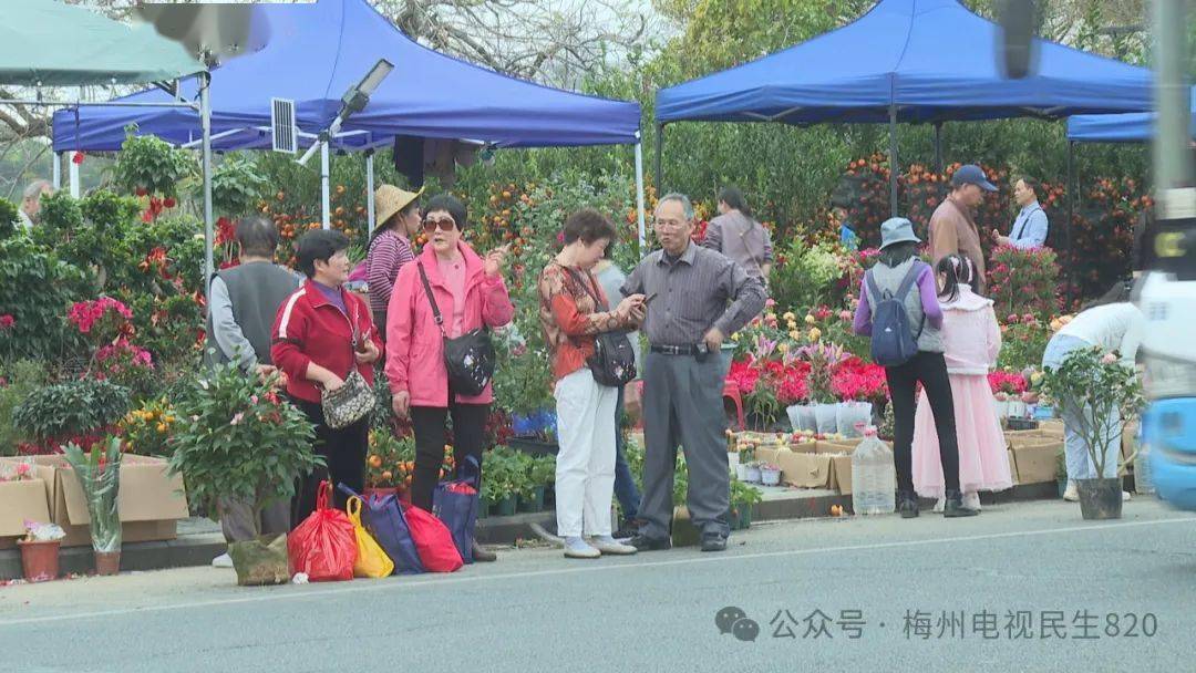 今天,院士廣場好熱鬧!_市民_梅州市_展區