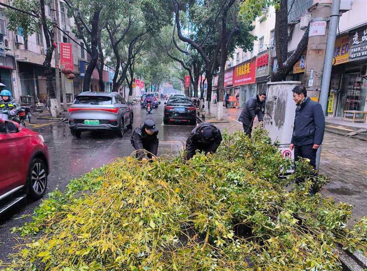 风雨中树木倾倒阻道路，民警徒手清理保畅通