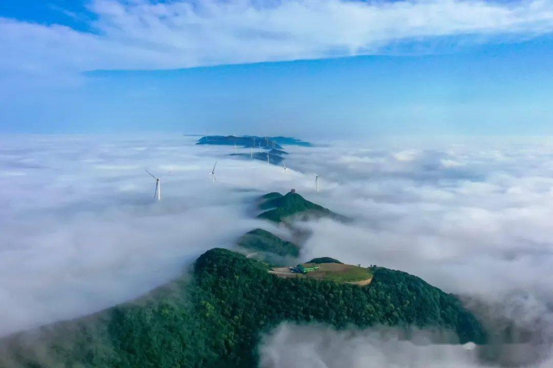 免票，半价！寒假景区优惠来了