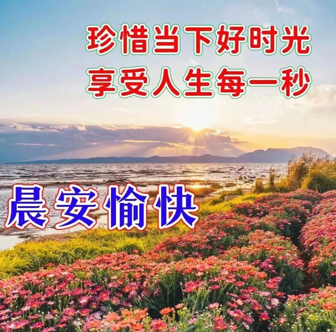 星期四最美早安问候祝福语图片大全带字温馨