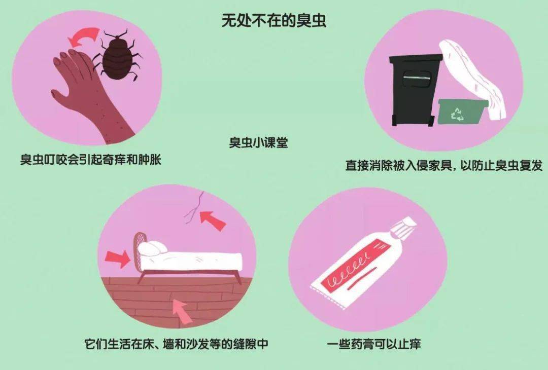 为了消灭臭虫,近几年来,科学家们对臭虫的基因进行了研究,希望能找到