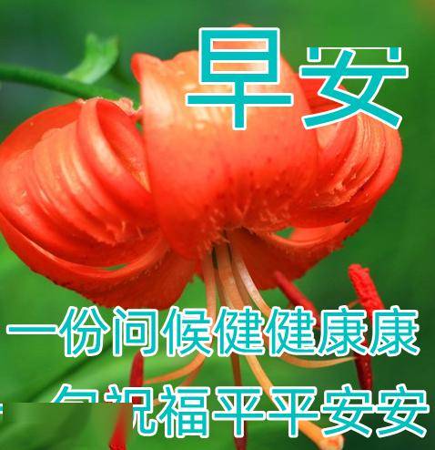 明日立春,早上好精选立春祝福图片带字早安问候语,祝您立春快乐,幸福
