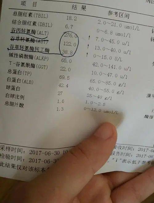 12岁小学生