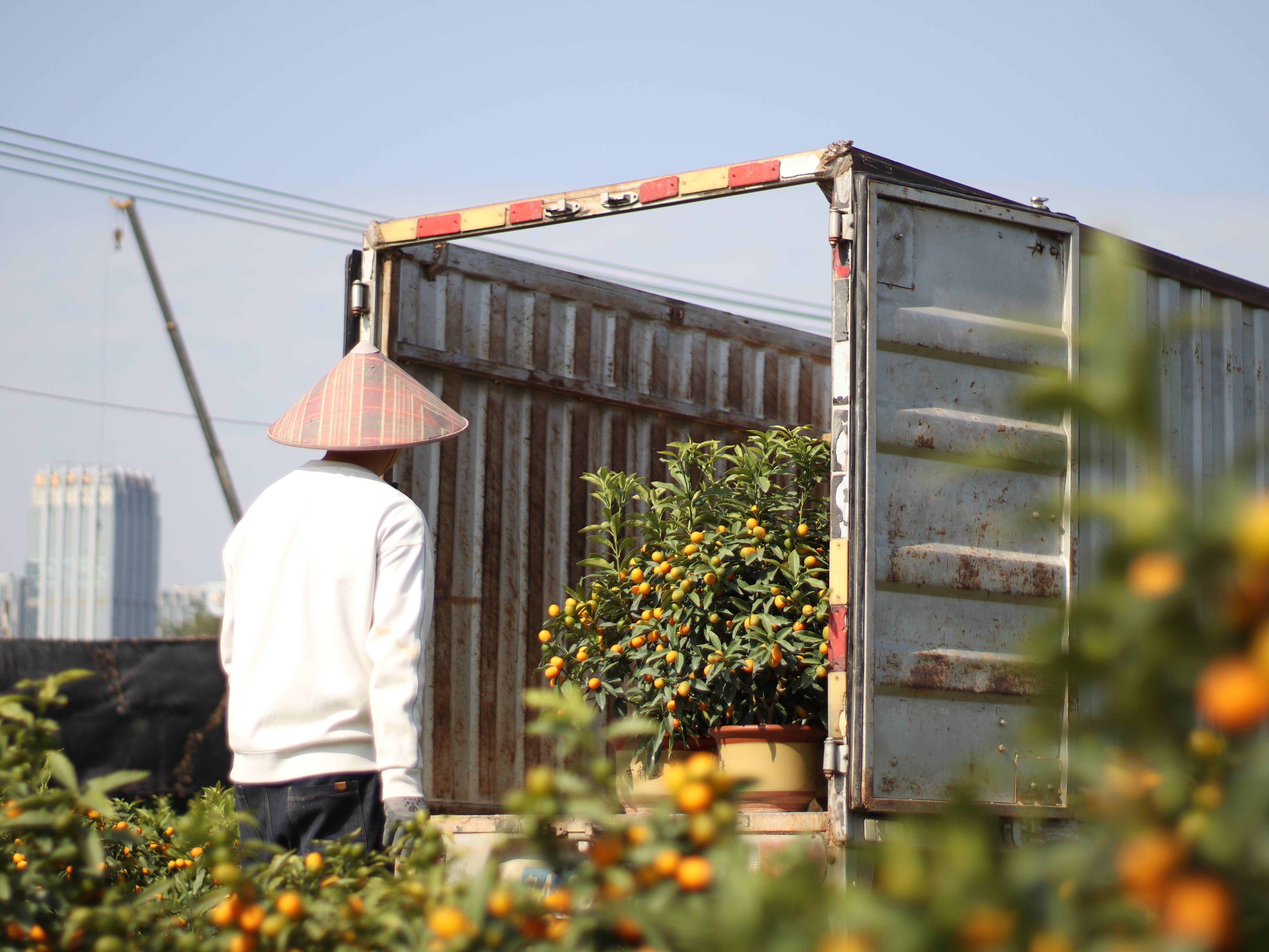 橘工 来自搜狐网