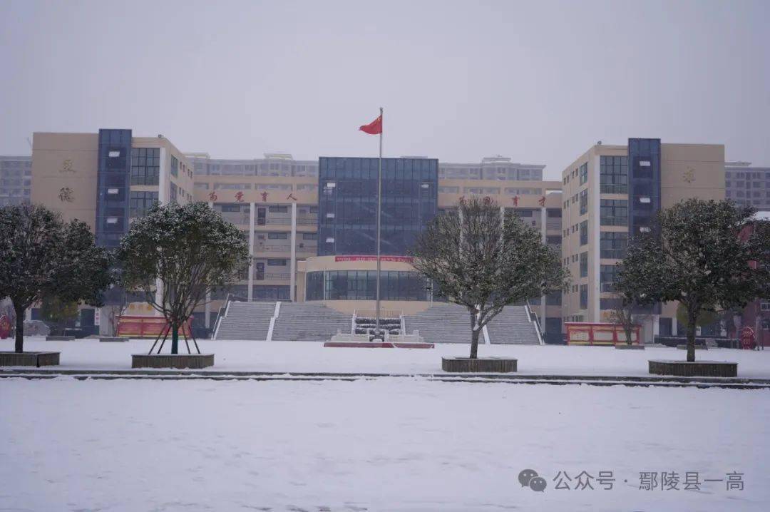 瑞雪中的鄢陵县一高_校园_空气_冬日