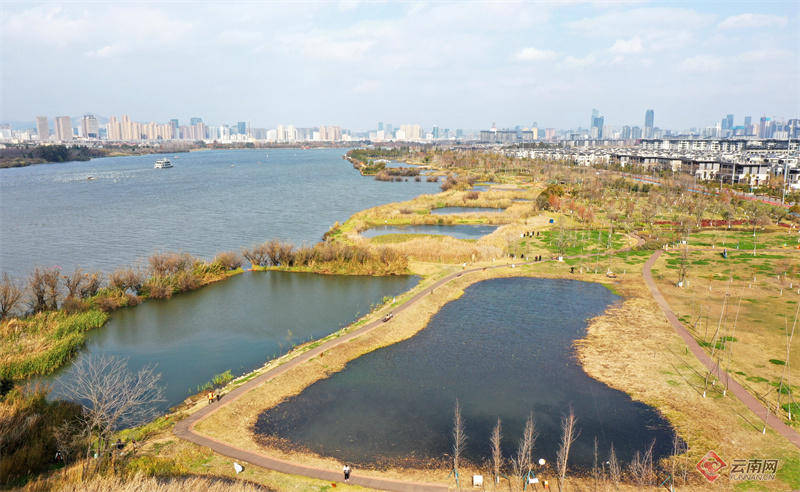 滇池草海湿地绘就绿水青山生态画卷_湖滨_昆明_环湖