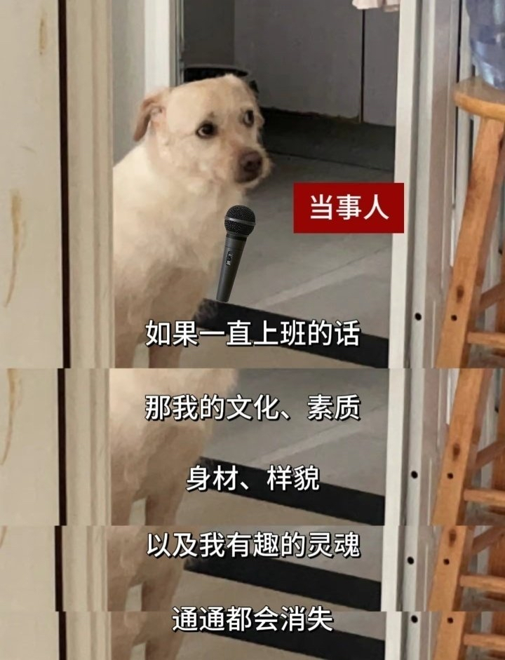 打工人年前精神状态大赏_截图_表情_台词